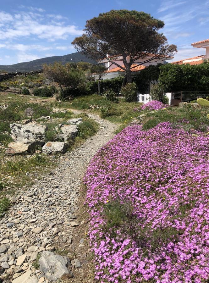 Beachfront Duplex With Terrace And Sea Views - Cadaqués Kültér fotó